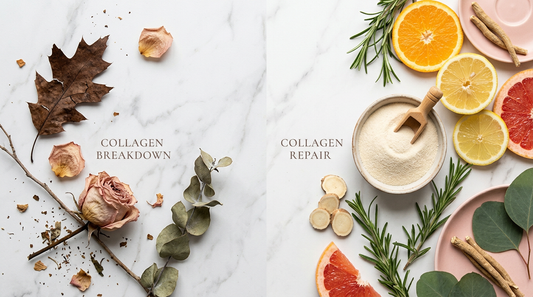 Split flat lay showing collagen breakdown from chronic stress on the left with wilting botanicals, and collagen repair ingredients on the right including collagen powder, ashwagandha root, and vitamin C citrus